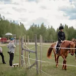 Heidin Mummola Farm Lantgård