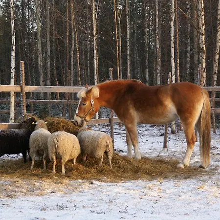 Heidin Mummola Farm