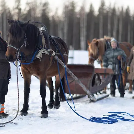Heidin Mummola Farm Pello