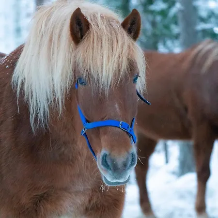 Heidin Mummola Farm * Pello