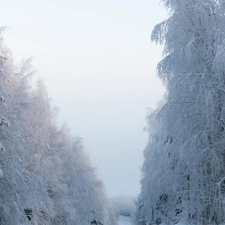 Heidin Mummola Farm Lantgård Pello