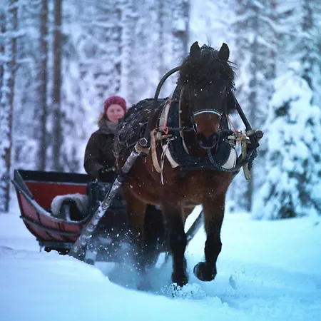 Lantgård Heidin Mummola Farm Pello